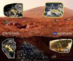 Mars Dogs: Biomimetic Robots for the Exploration of Mars, from its Rugged Surface to its Hidden Caves
